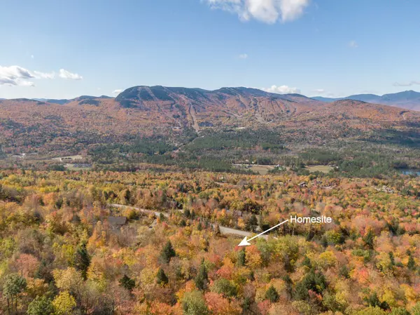 Newry, ME 04261,Lot 41 Appalachian DR