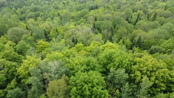 Presque Isle, ME 04769,95 Mountain RD