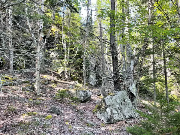 Machiasport, ME 04655,Lot 6 Indian Head RD