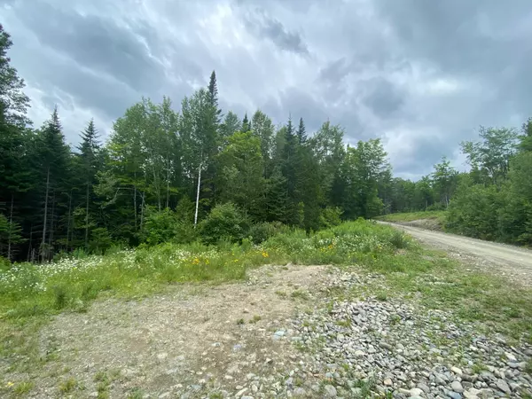 Shirley, ME 04485,Map 7 Lot 42 B & A Railroad South