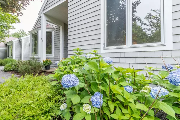 Yarmouth, ME 04096,22 Blueberry CV #22