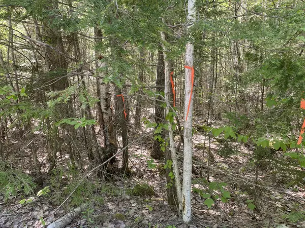 00 East Shore RD, Lakeville, ME 04487