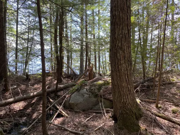 Lakeville, ME 04487,00 East Shore RD