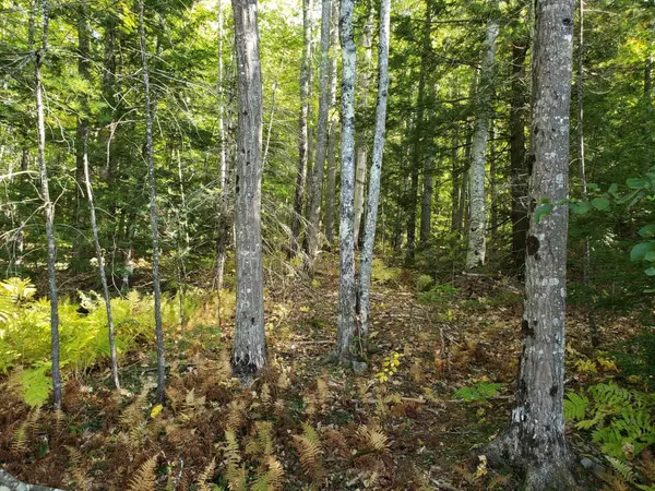 Nobleboro, ME 04555,15 E East Edge RD