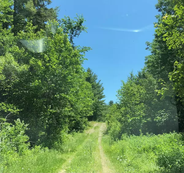 Drew Plt, ME 04497,84 Main ST