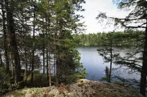 41 Sportsmen's Lodge RD, Marshfield, ME 04654