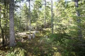 Marshfield, ME 04654,41 Sportsmen's Lodge RD