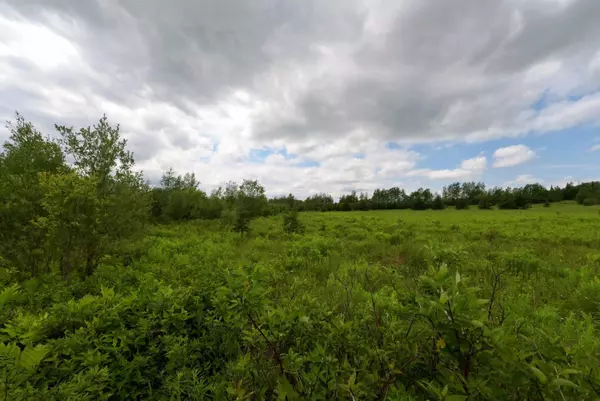 Woodland, ME 04736,Lot 40-B Carson RD