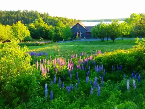 Pembroke, ME 04666,313 Garnet Head RD