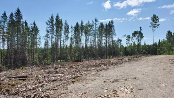 Springfield, ME 04487,Off RT 6