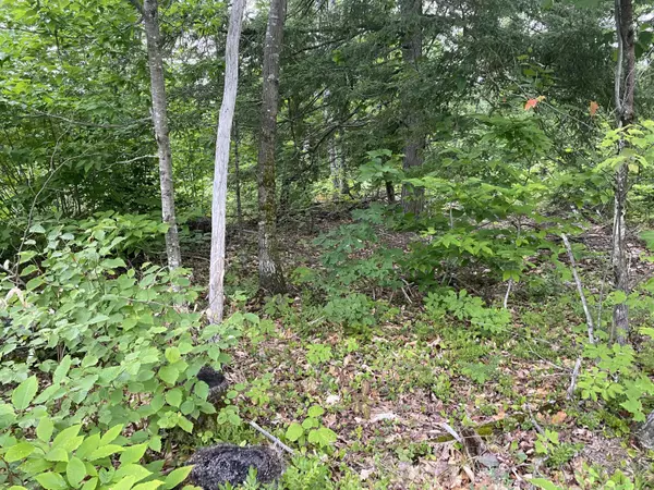 Baldwin, ME 04024,Lot 7 Freemont Woods - Sand Pond RD
