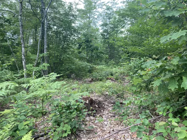 Baldwin, ME 04024,Lot 7 Freemont Woods - Sand Pond RD