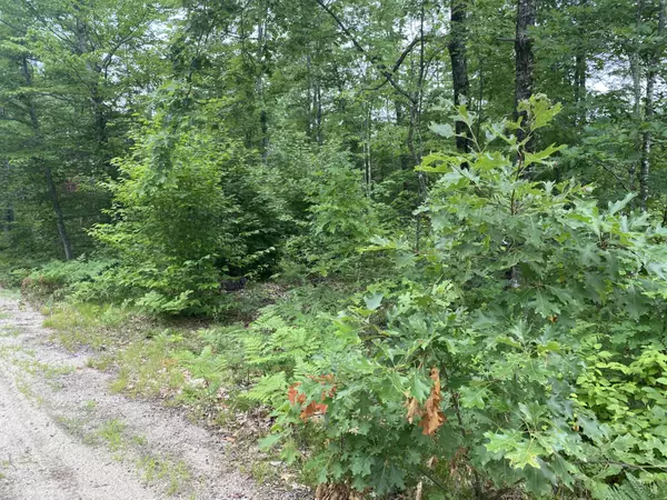 Baldwin, ME 04024,Lot 6 Freemont Woods - Sand Pond RD