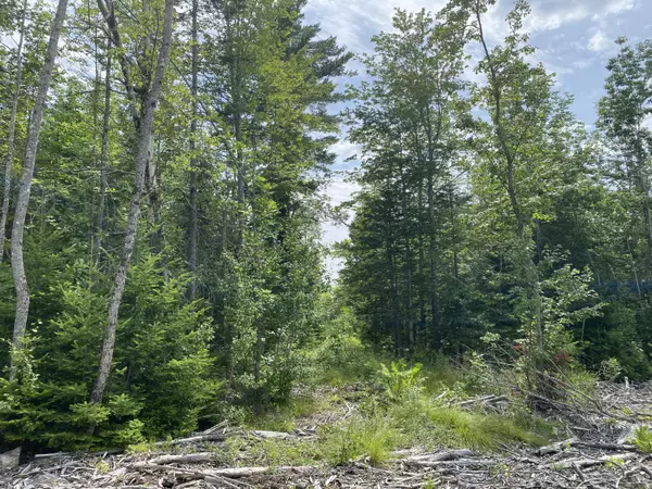 1511 Otis RD, Otis, ME 04605