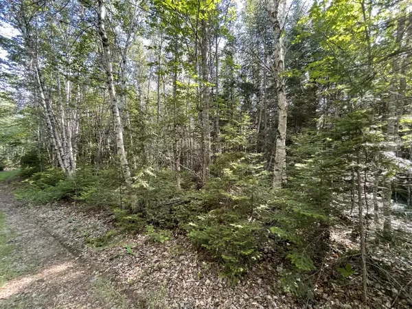 Springfield, ME 04487,Off Chase RD