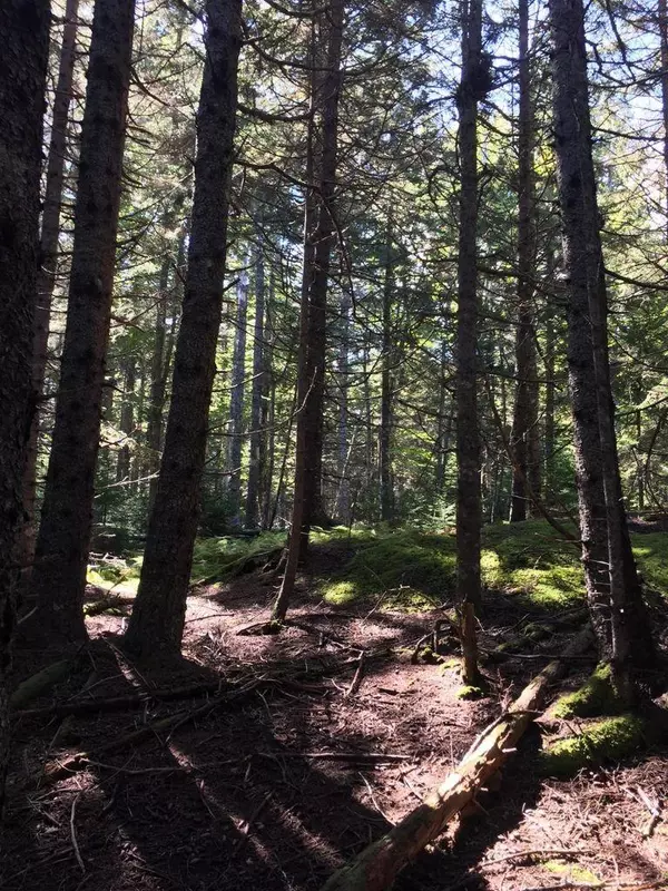 Swans Island, ME 04685,0 Goose Pond Road