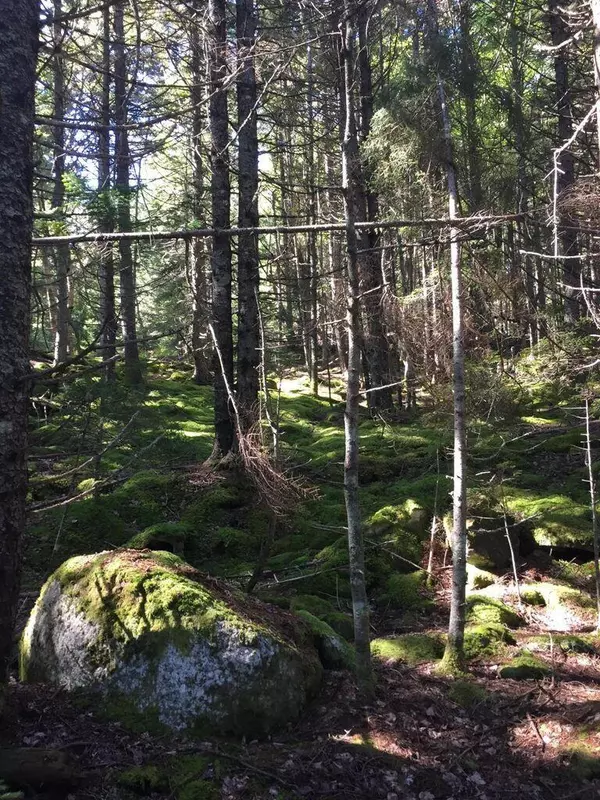 Swans Island, ME 04685,0 Goose Pond Road