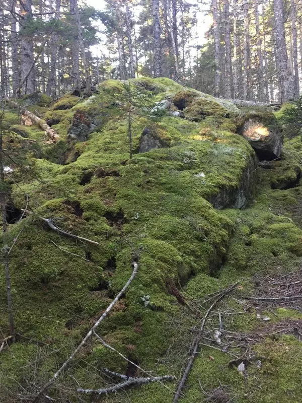 Swans Island, ME 04685,0 Goose Pond Road