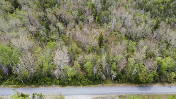 Machiasport, ME 04655,84 Yoho Head RD