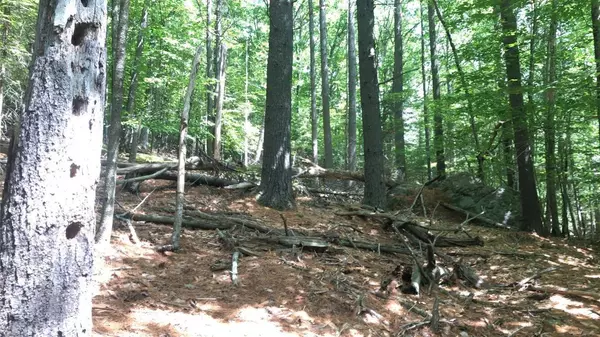 0 Swetts Pond Road, Orrington, ME 04474