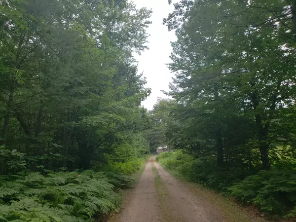 Waterford, ME 04088,35 Saddlebrook DR