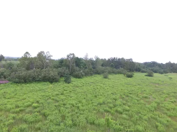 New Limerick, ME 04761,Lot 2 Pleasant LN