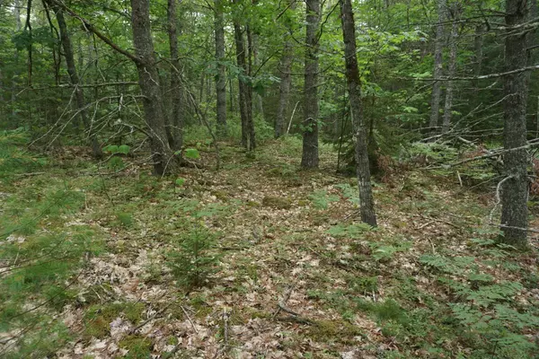 Lovell, ME 04051,0 W Lovell RD