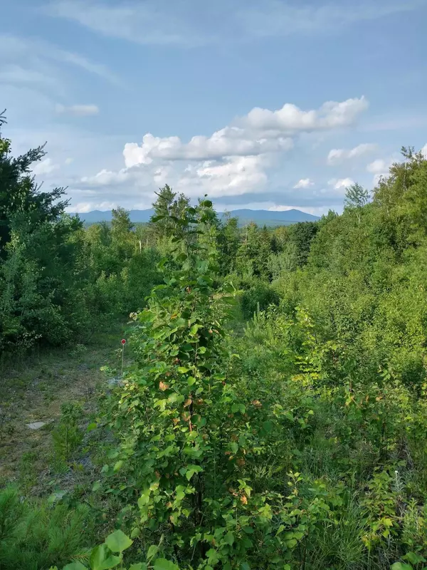 Phillips, ME 04966,Lot 11 Small RD