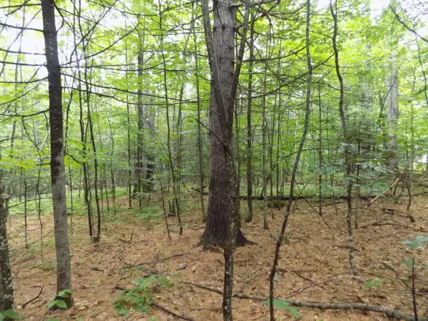 Stow, ME 04037,0 Union Hill RD