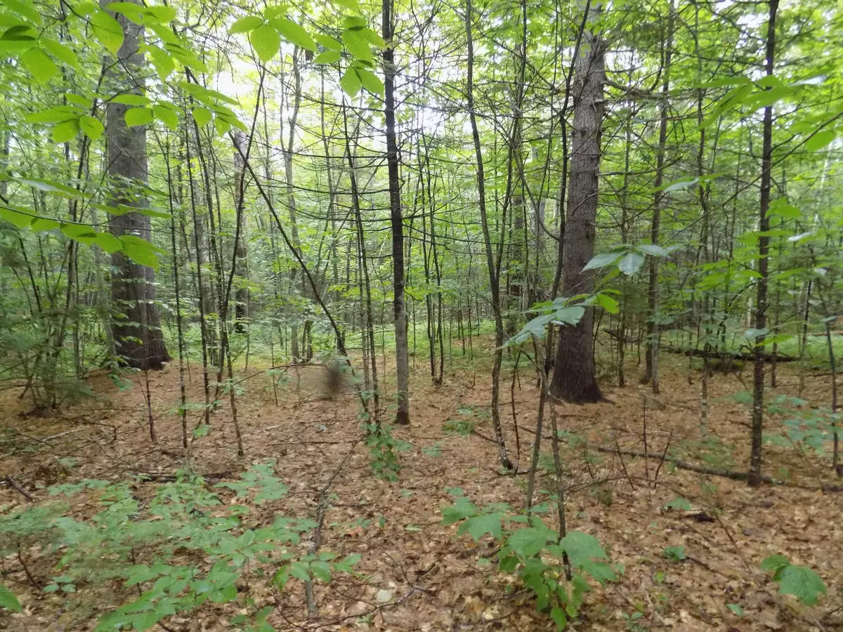 Stow, ME 04037,0 Union Hill RD