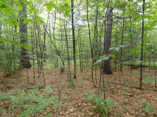 0 Union Hill RD, Stow, ME 04037