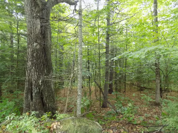 Stow, ME 04037,0 Union Hill RD