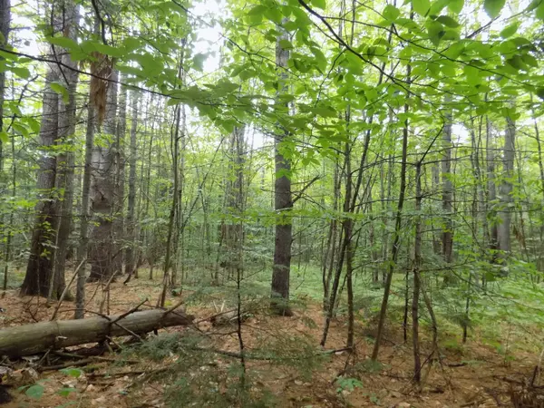 Stow, ME 04037,B-1 Union Hill RD