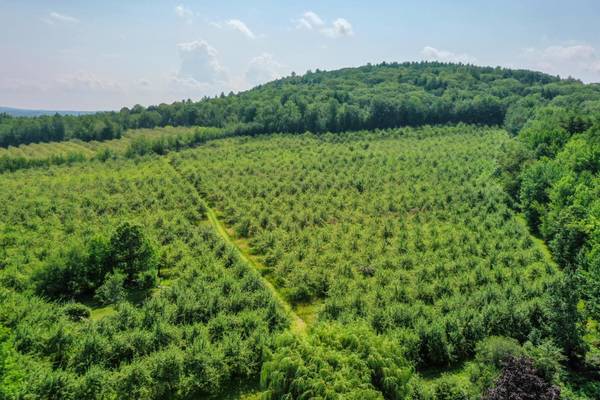 00 Parsonsfield RD, Limerick, ME 04048