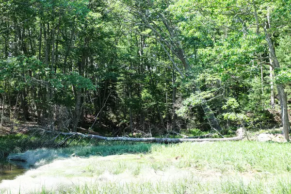 Surry, ME 04684,1118 Surry RD