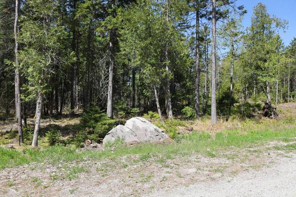 Lot C 2 Forest Hill LN, Surry, ME 04684