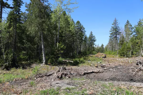 Surry, ME 04684,Lot C 2 Forest Hill LN