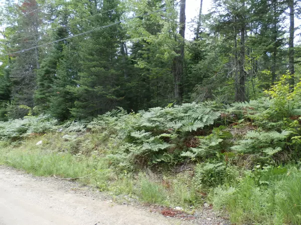 Weld, ME 04285,1290 Center Hill Road