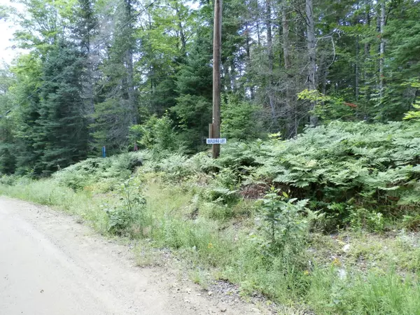 Weld, ME 04285,1290 Center Hill Road