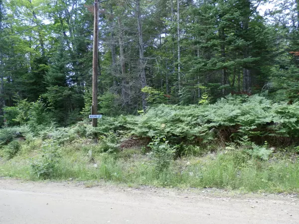 Weld, ME 04285,1290 Center Hill Road