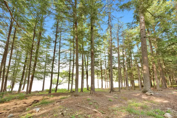 New Portland, ME 04961,39 Collins DR