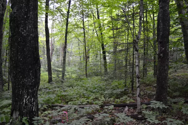 59 Brown RD, Nobleboro, ME 04555