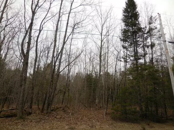 Stetson, ME 04488,M 4 L15 East Newport Road