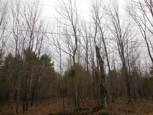 Stetson, ME 04488,M 4 L15 East Newport Road