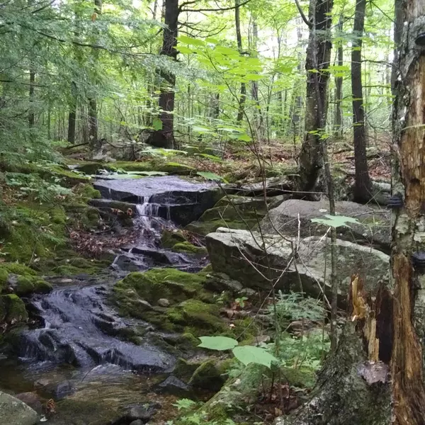 00 Burbank RD, Peru, ME 04290