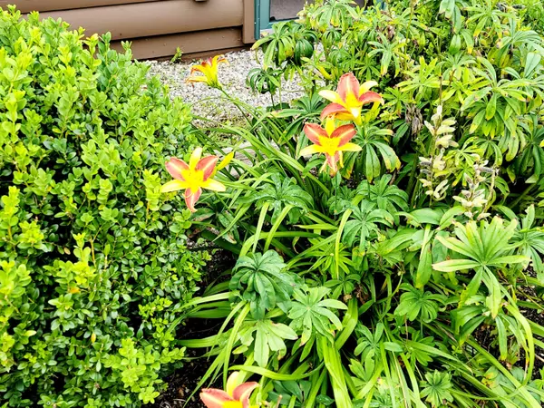 Machias, ME 04654,8 Mallar LN