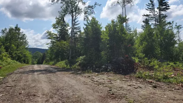 Moro Plt, ME 04765,27 Rockabema RD