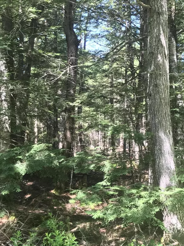 21 Black Swamp RD, Denmark, ME 04022