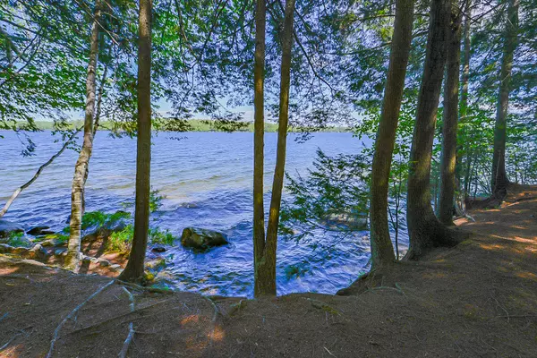 Otisfield, ME 04270,43 N Camp RD