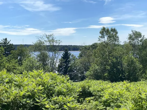 Lot 4 Woodruff Cove Road, Machiasport, ME 04655